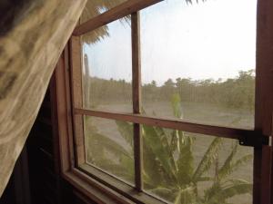 马祖特hostal pakal的相册照片