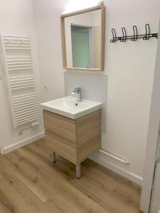 ein Bad mit einem Waschbecken und einem Spiegel in der Unterkunft Agréable T2 en rez de jardin à 2 pas du plan d'eau in Embrun