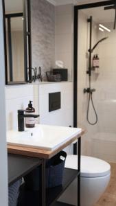 a bathroom with a sink and a toilet and a shower at Modernes Ferienhaus im Eidertal in Delve