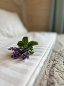 Кровать или кровати в номере Žalčio guolis