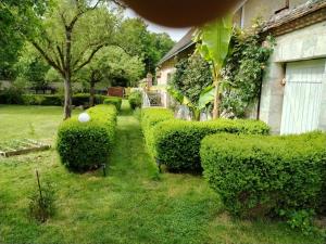 Zahrada ubytování Maison d'hôtes