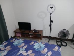 TV a/nebo společenská místnost v ubytování Haven of Deities Property Rental
