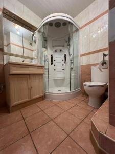 een badkamer met douche en toilet bij L'ALPE D'HUEZ Appartement 4 couchages idéalement situé in Huez