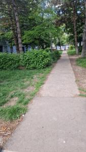 a walking path in a park with trees and grass at Micro-apartament NADEVA in Suceava