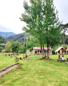 una casa en un campo con un árbol en C O Z Y Hut At Country Club Balakot en Bālākot