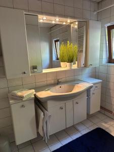 ein Badezimmer mit Waschbecken und Spiegel in der Unterkunft Erholungsoase im Vorharz in Katlenburg-Lindau