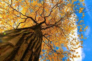 Gallery image of Natural Parque Ecológico in Canoa