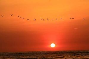 Gallery image of Natural Parque Ecológico in Canoa +13 photos