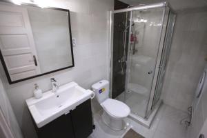 a bathroom with a shower and a toilet and a sink at d.Five Chain Bridge Apartment in Budapest