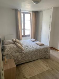 un dormitorio con una cama y una ventana en Le Cosy Montferrandais, en Clermont-Ferrand