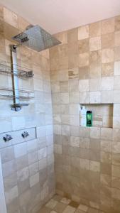 a bathroom with a shower stall with a shower at San Antonio Villas in San Antonio