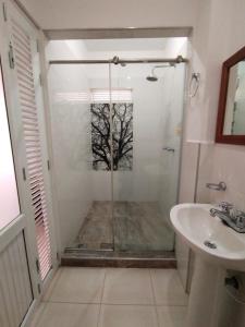 a bathroom with a shower and a sink at Finca Hotel Villa Ilusión in Pereira