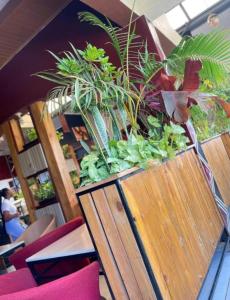 a wooden planter with plants on top of it at The Keza Hotel Botique in Kigali