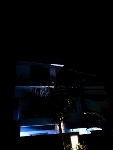 a building with a palm tree in front of it at night at The Keza Hotel Botique in Kigali