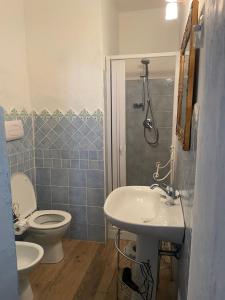 a bathroom with a sink and a toilet and a shower at B&B Corte San Lussorio in Oliena