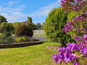 Zahrada ubytování Oneroa Tui Garden - Be My Guest Waiheke + 71 fotografií