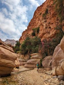 a person walking on a rocky path through a canyon at Bedouin outdoors Camp wild in Dana