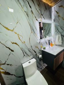 Łazienka z białą toaletą i marmurową ścianą w obiekcie Jarkeyda House w mieście Siquirres