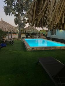 a swimming pool in the yard of a resort at Palmhouse Apartments Aruba 1- 4 persons in Savaneta