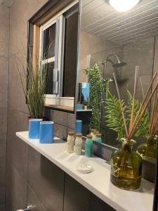 łazienka z lustrem i roślinami w obiekcie Palmhouse Apartments Aruba 1- 4 persons w mieście Savaneta