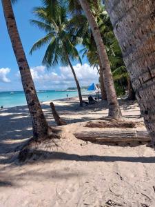 a group of palm trees on a beach with the ocean at Boracay Luxury Apartments in Boracay