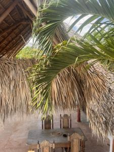 a wooden table under a large palm tree at Casa Costa Salvaje in El Gigante