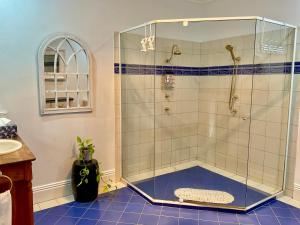 a shower with a glass enclosure in a bathroom at Middleton House Maleny in Witta
