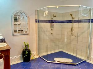 una ducha con mampara de cristal en un baño en Middleton House Maleny, en Witta 38 fotos más