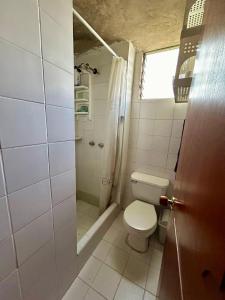 a small bathroom with a toilet and a shower at El pinar, Dindalito in Bogotá