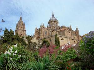 Zajímavé místo poblíž apartmánu