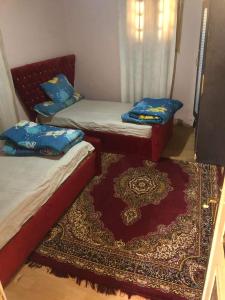 Un ou plusieurs lits dans un hébergement de l'établissement Nina house for Women only