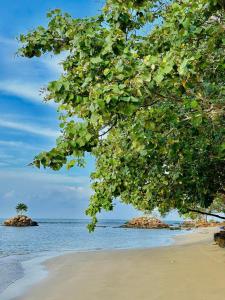 uma árvore na praia com duas ilhas na água em Green Bay Phu Quoc Resort & Spa em Duong Dong