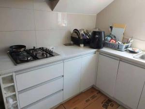 a small kitchen with a stove and a sink at Flat Bush Large Ensuite in Auckland
