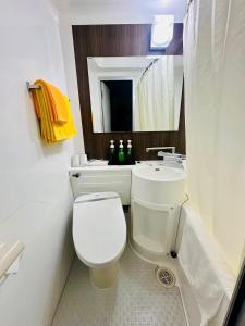 uma casa de banho com um WC branco e um lavatório. em Hotel Hanaya em Tanabe
