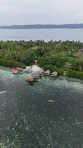una vista aerea di un'isola in una cassa d'acqua di Arborek Diving Homestay R4 a Besir