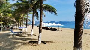 a beach with palm trees and chairs and the ocean at CH Mường Thanh Luxury 60 Trần Phú. Nha Trang in Nha Trang