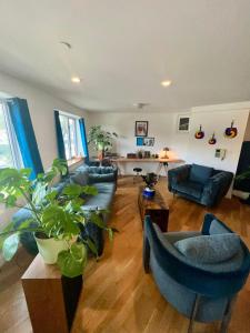 una sala de estar con sofás y plantas azules en 4 Peeps Charm Apartament in Williamsburg Brooklyn NYC, en Union City