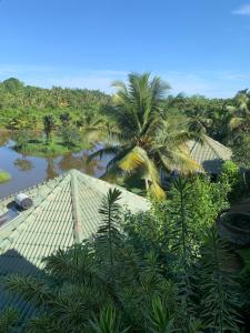 Vista ariale di una casa con palme e un fiume di Jungle Heart Cabanas a Danwattegoda