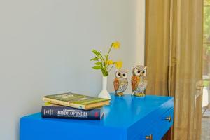 two owl figurines on a blue table with a vase and books at Ananyamaya nature lodge in Khilchipur