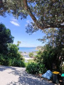 een uitzicht op de oceaan vanaf een weg bij Beach Getaway Studio Matakatia/Tindalls in Whangaparaoa