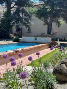 un jardín con flores púrpuras junto a una piscina en The House, en Strevi