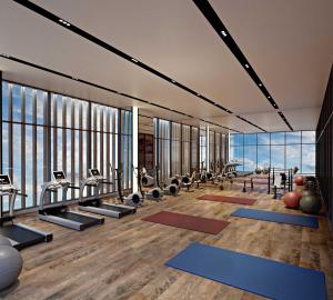 Centrul de fitness și/sau facilități de fitness de la Luxury Sky Apartment