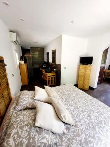 Un dormitorio con una cama con almohadas. en Lou mas del ranc, en Roquestéron