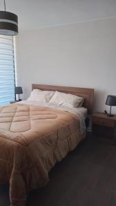 1 dormitorio con 1 cama grande y 2 mesitas de noche en Arriendo de departamento por día en Santiago