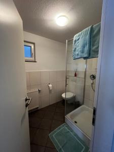 a bathroom with a shower and a toilet and a sink at Schönes Apartment mit Terrasse - Privatvermietung in Waldstetten +7 photos