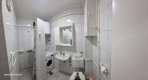 W łazience znajduje się umywalka i pralka. w obiekcie MerjemDanin w mieście Zenica
