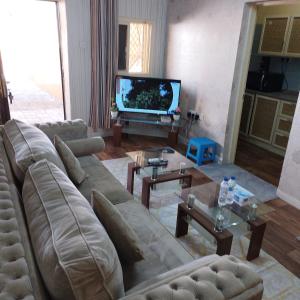 sala de estar con sofá y TV en العين الهيلي مصباح ب 9 en Al Ain