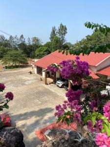 a house with purple flowers in front of it at The Sattva Nature Retreat in Avathi