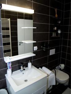 a bathroom with a sink and a mirror and a toilet at Milan Luxury Apartaments II-Maurer Residence in Târgu-Mureş