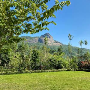 a view of a mountain from a park at The Sattva Nature Retreat in Avathi